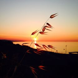 Scenic view of sea during sunset