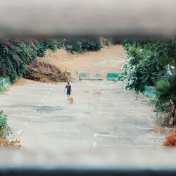 Rear view of woman walking on footpath