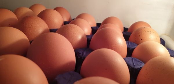 Close-up of eggs in container