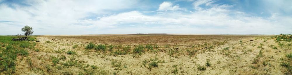 Panoramic view of agricultural field against sky