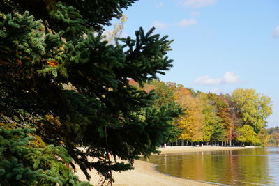 Trees by lake against sky during autumn