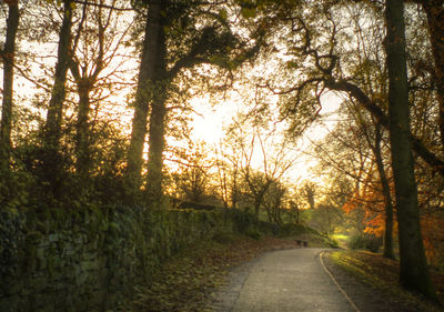 Road amidst trees in forest during autumn