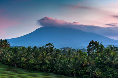 Scenic view of mount batur against sky