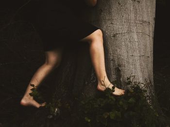 Low section of woman by tree trunk