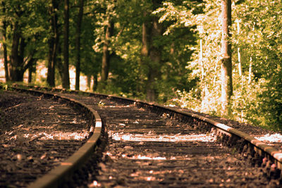 Railroad track amidst trees in forest