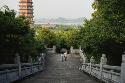 Rear view of woman walking by trees