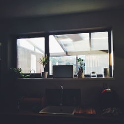 Potted plant on table at home