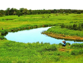 Scenic view of grassy field by lake against sky