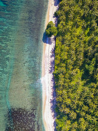 High angle view of swimming pool