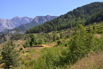 Scenic view of mountains