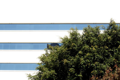 Low angle view of trees and building against clear sky