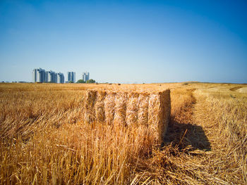 A beautiful photo of a large haystack at kiryat bialik in northern israel 