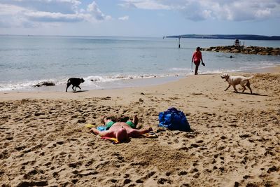 Dog standing on beach