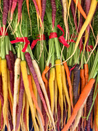 Full frame shot of multi colored vegetables