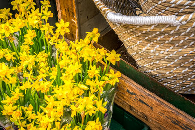 High angle view of yellow flowering plants in basket