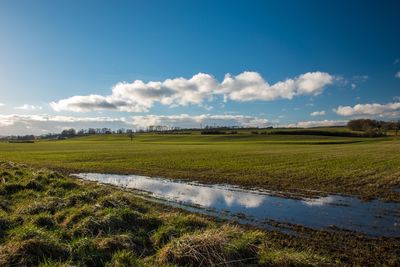 Scenic view of field against sky