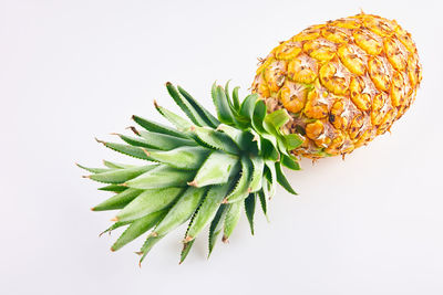 Close-up of fruit against white background