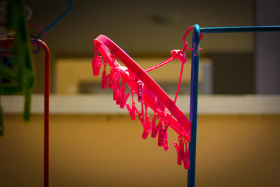 Close-up of pink flower hanging on rope