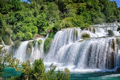 Scenic view of waterfall in forest