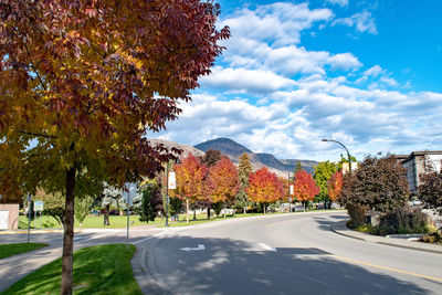 Street amidst trees against sky during autumn