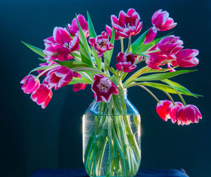 Close-up of pink flowers in vase