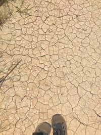 Low section of person standing on cracked land