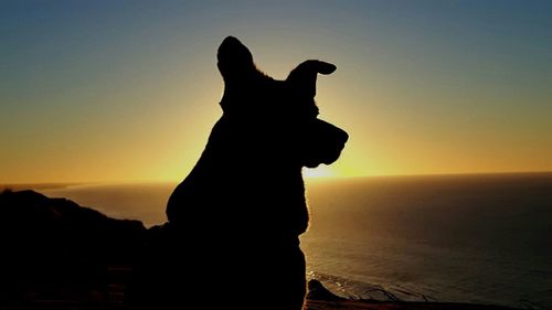 Silhouette of man at sunset