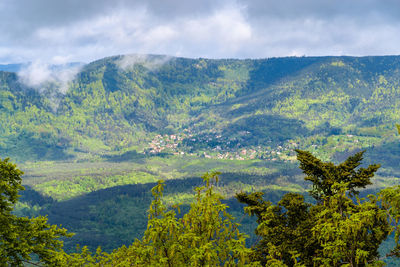 Scenic view of trees and mountains against sky