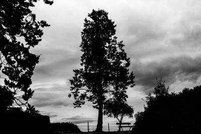 Silhouette of trees against cloudy sky