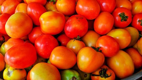 High angle view of tomatoes for sale in market