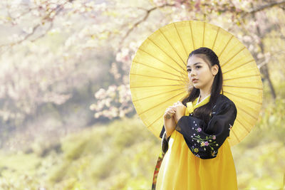 Beautiful female wearing traditional korean hanbok with cherry blossom in spring, korea.