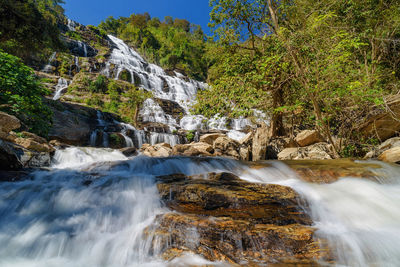 Scenic view of waterfall in forest