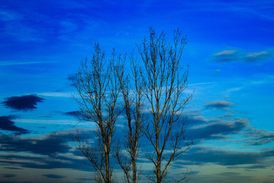 Low angle view of bare tree against blue sky