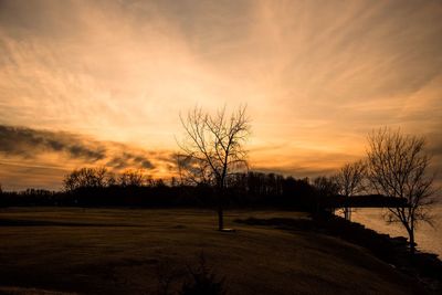Silhouette bare trees on landscape against sky at sunset