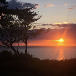 Scenic view of sunset over sea