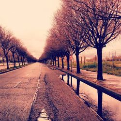 Empty road along bare trees