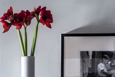 Close-up of flowers in vase