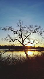 Reflection of trees in lake at sunset