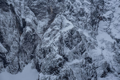 Full frame shot of snow covered trees