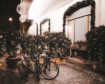 Bicycle parked against illuminated building at night