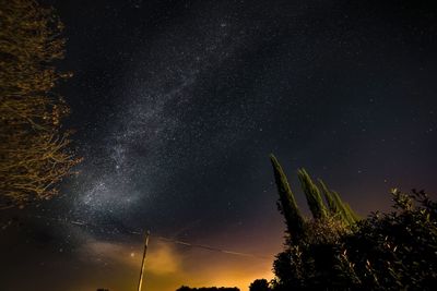 Low angle view of trees against sky at night