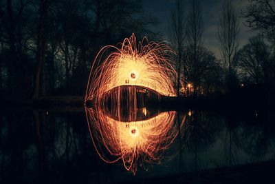 Illuminated tree by lake against sky at night