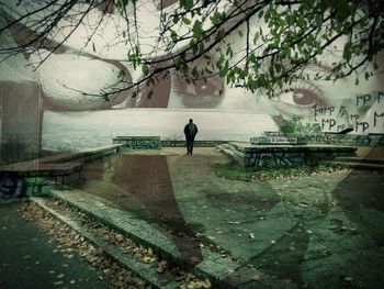 Rear view of man walking by plants