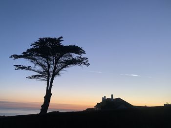 Silhouette tree against sky during sunset