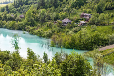 High angle view of trees by river