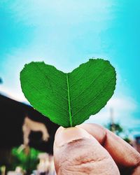 Close-up of hand holding leaf