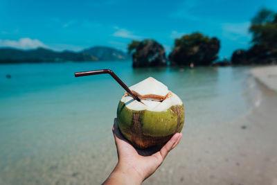 Close-up of hand holding coconut