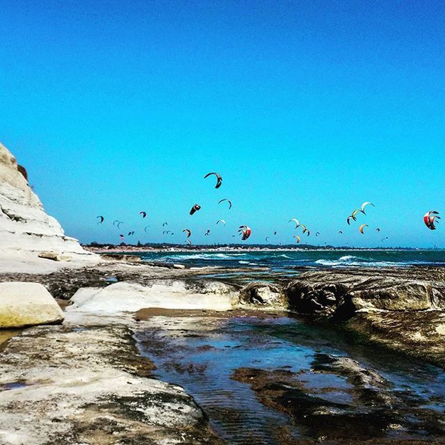 water, clear sky, flying, bird, sea, animal themes, blue, animals in the wild, mid-air, copy space, wildlife, nature, beauty in nature, scenics, beach, horizon over water, flock of birds, tranquility, shore