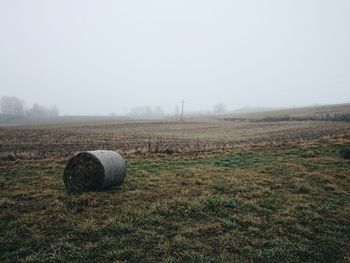 Hay bales on field