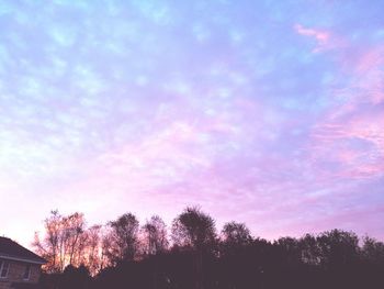 Low angle view of silhouette trees against sky